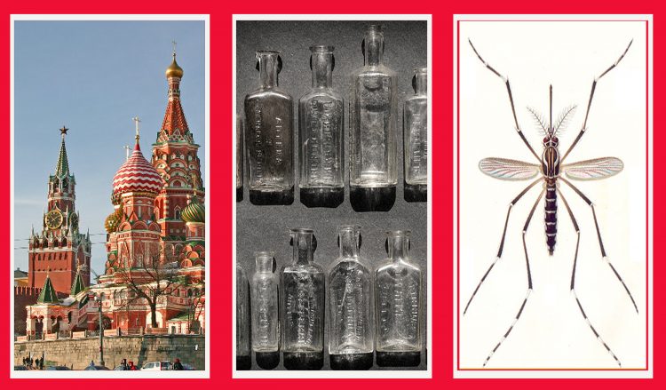 Без имени-1