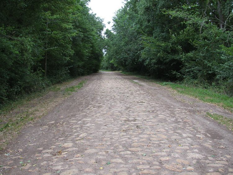 Римская дорога возле La Celle-sur-Loire, Франция. Источник 